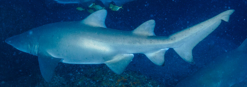 ae790ec9-51d8-4887-9cdb-b15e82bea0c4