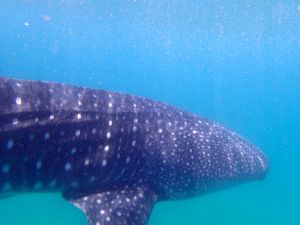 f2fb85d5-501e-4119-b05b-52272f4d29e1