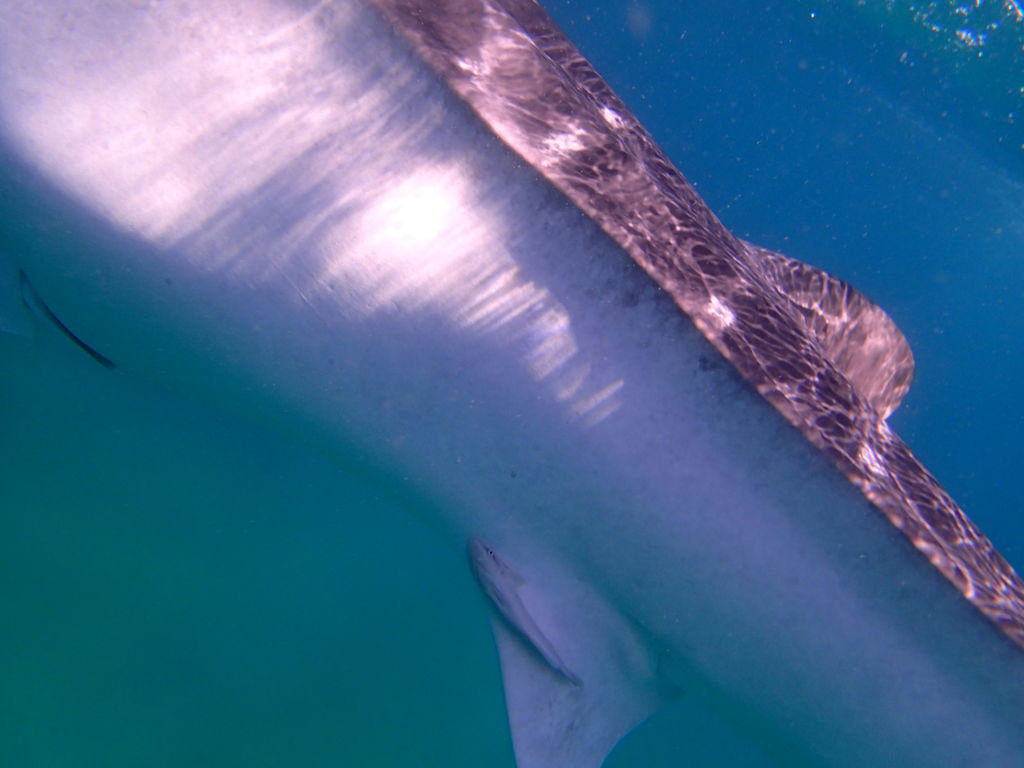 f2fb85d5-501e-4119-b05b-52272f4d29e1