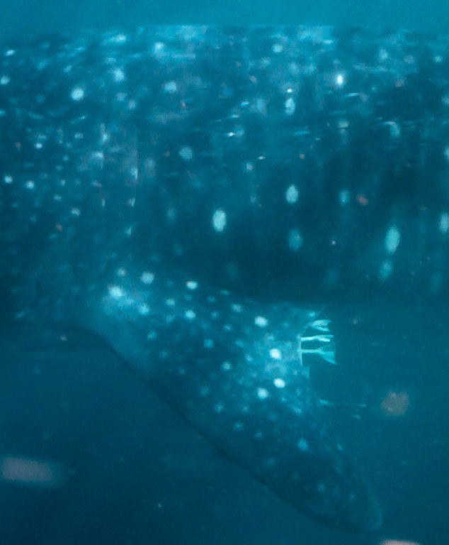 46fe5d29-4cd2-4bab-9df4-e3c1af4da1f0