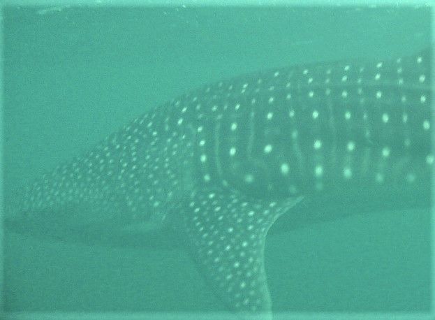 f353464e-e9d7-4f2a-b6fa-fbed63de97b1