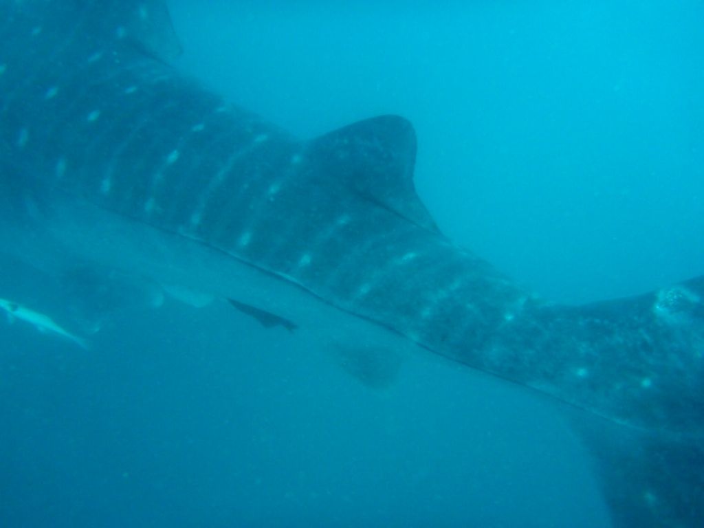 3bb9aa64-f2f2-42d7-911d-21b2340887ea