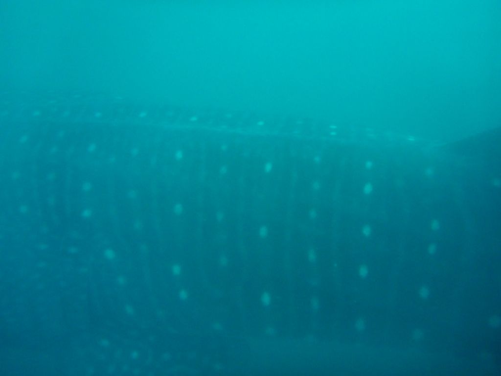 3bb9aa64-f2f2-42d7-911d-21b2340887ea