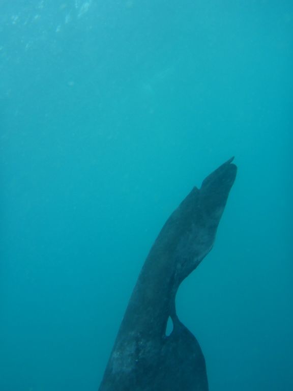 3bb9aa64-f2f2-42d7-911d-21b2340887ea