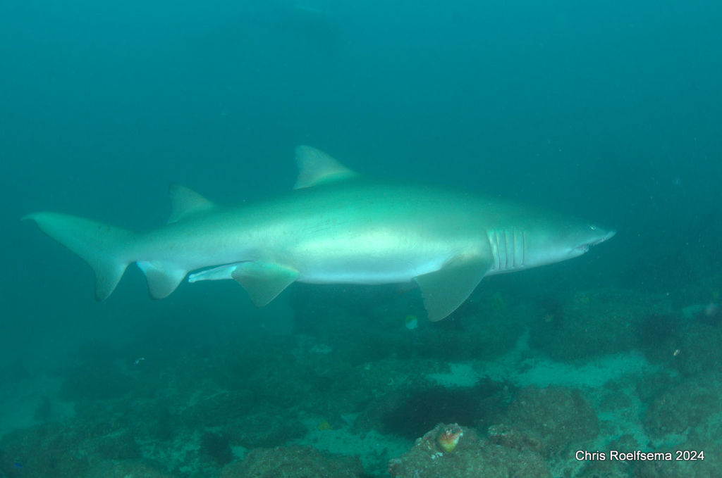 451d2b02-0b16-42be-872e-bddecea7eca2