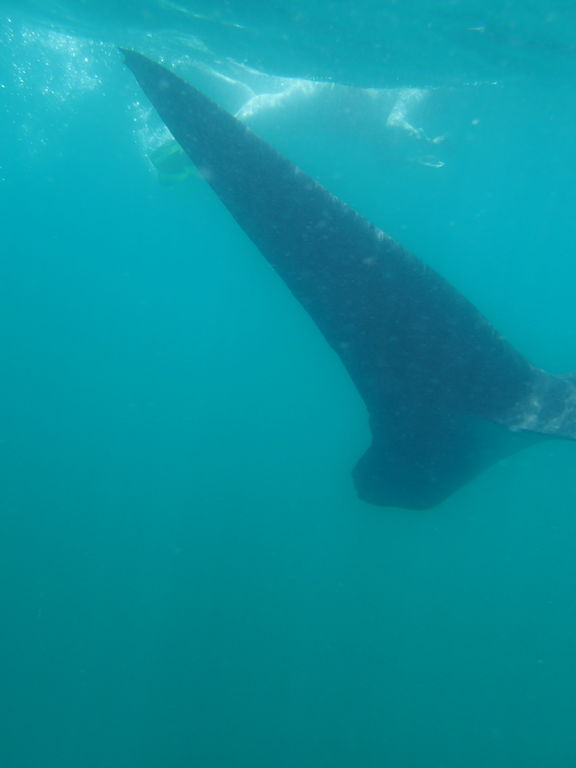 01efe16d-3ff1-4509-b5e1-a9d9cfbb977a