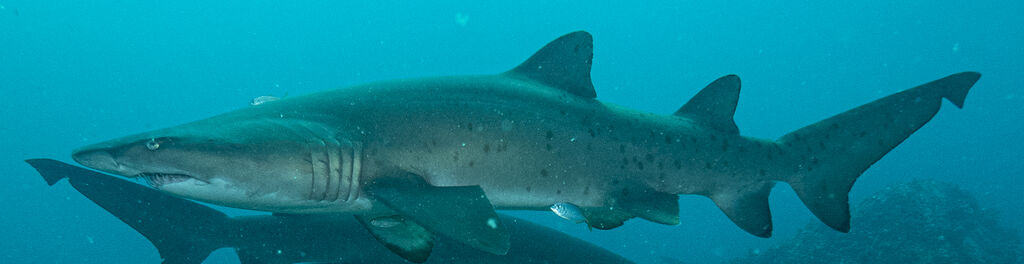 094d10fb-ebad-4b51-802f-fc0c1ef1149e