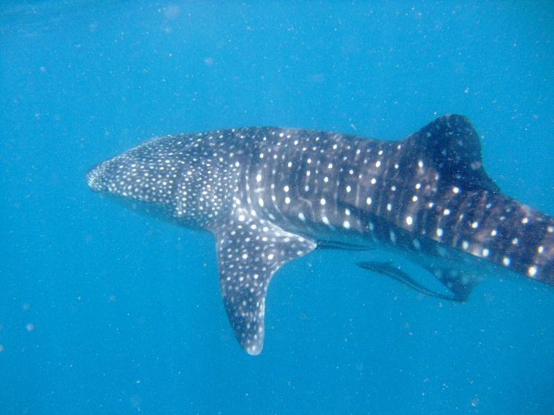 56c5dca4-ea87-4f11-aa5a-776c7073c608