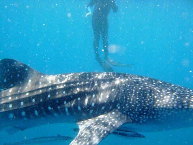 56c5dca4-ea87-4f11-aa5a-776c7073c608