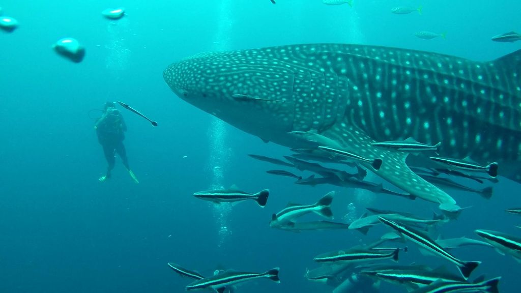 969b9ce1-b872-4c3d-884a-37a5bd38f1a7