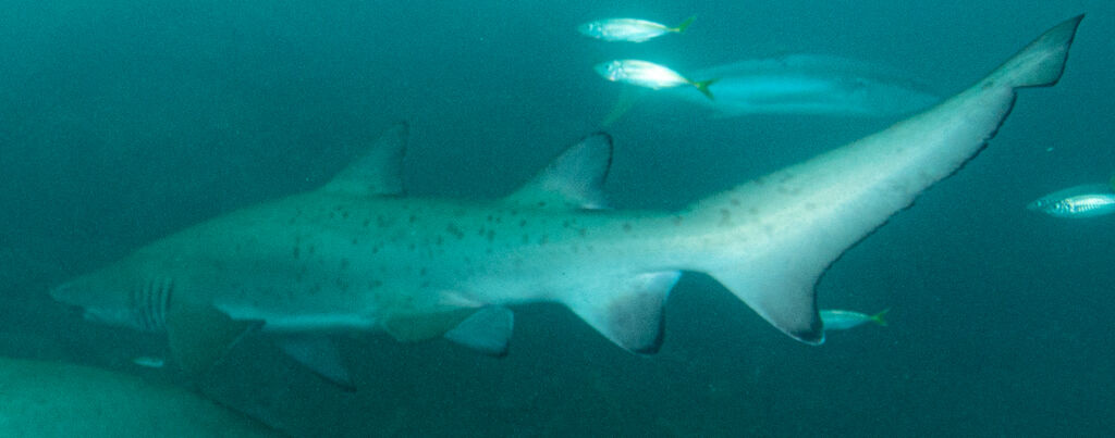 8525593e-7224-47e7-b142-94126f01daa3