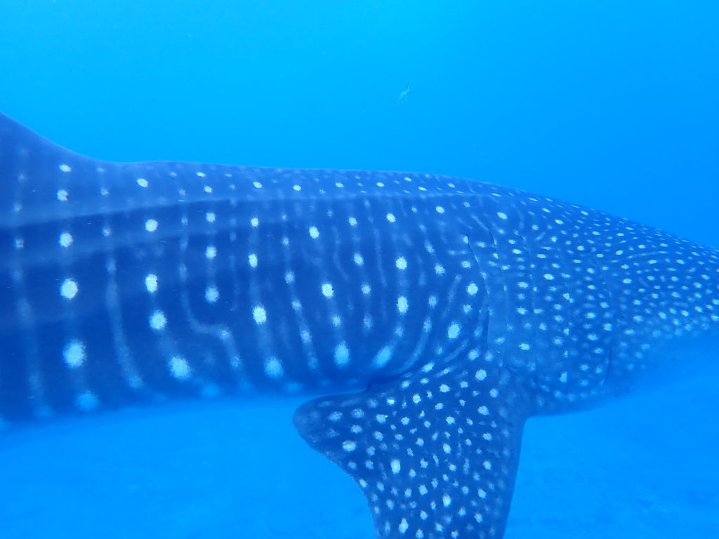 4dca644b-6083-4777-9f29-13c524945375