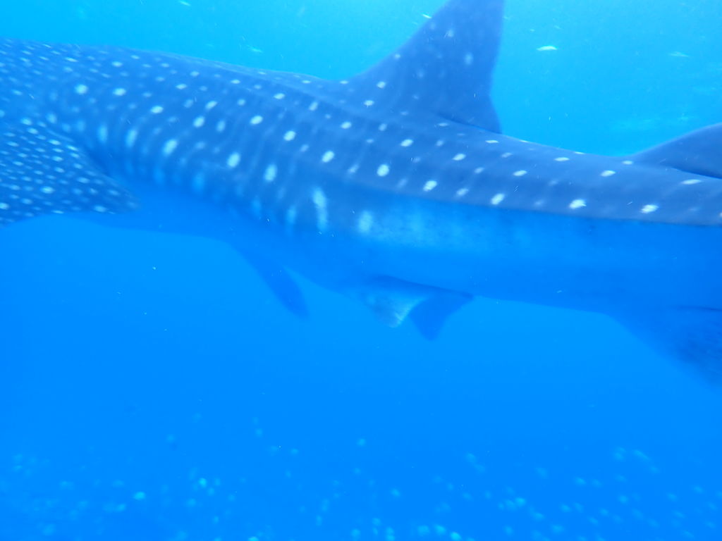 4dca644b-6083-4777-9f29-13c524945375