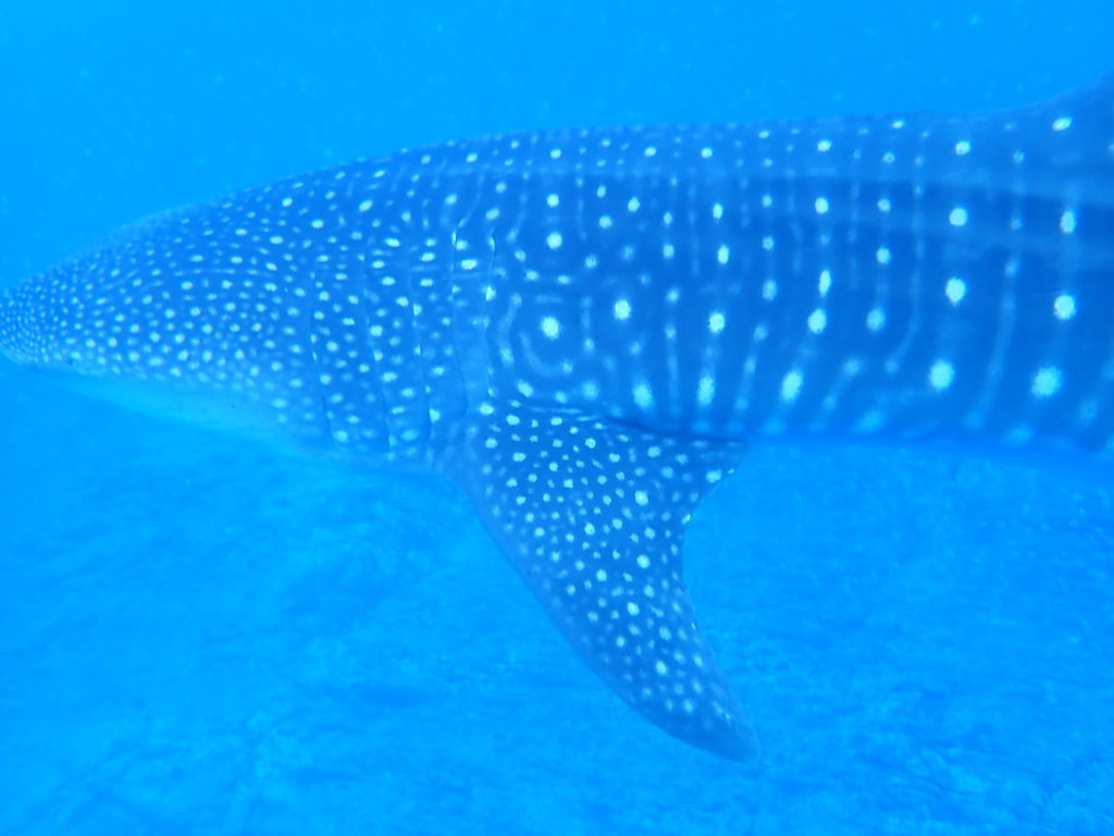 4dca644b-6083-4777-9f29-13c524945375