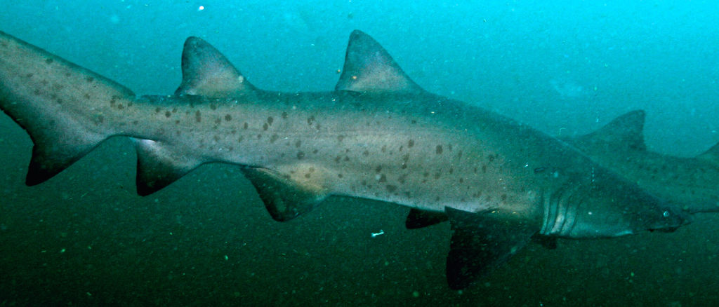 8c6d8e87-3cbf-40b4-9666-f5bedf6532c0