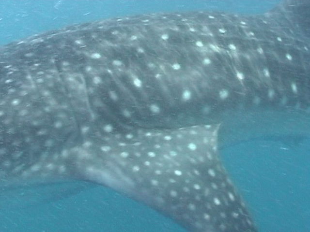 240a2bd3-5ecb-4b92-bfb9-8220d5b0c119