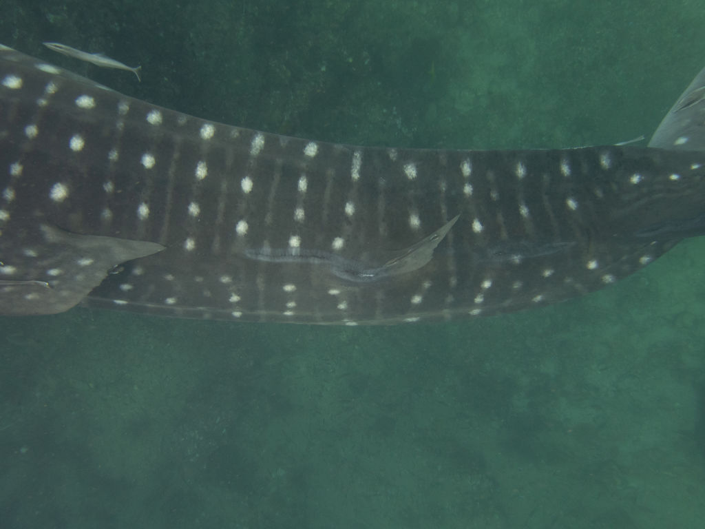 486332db-f036-4922-9c5d-f4c908d4c361