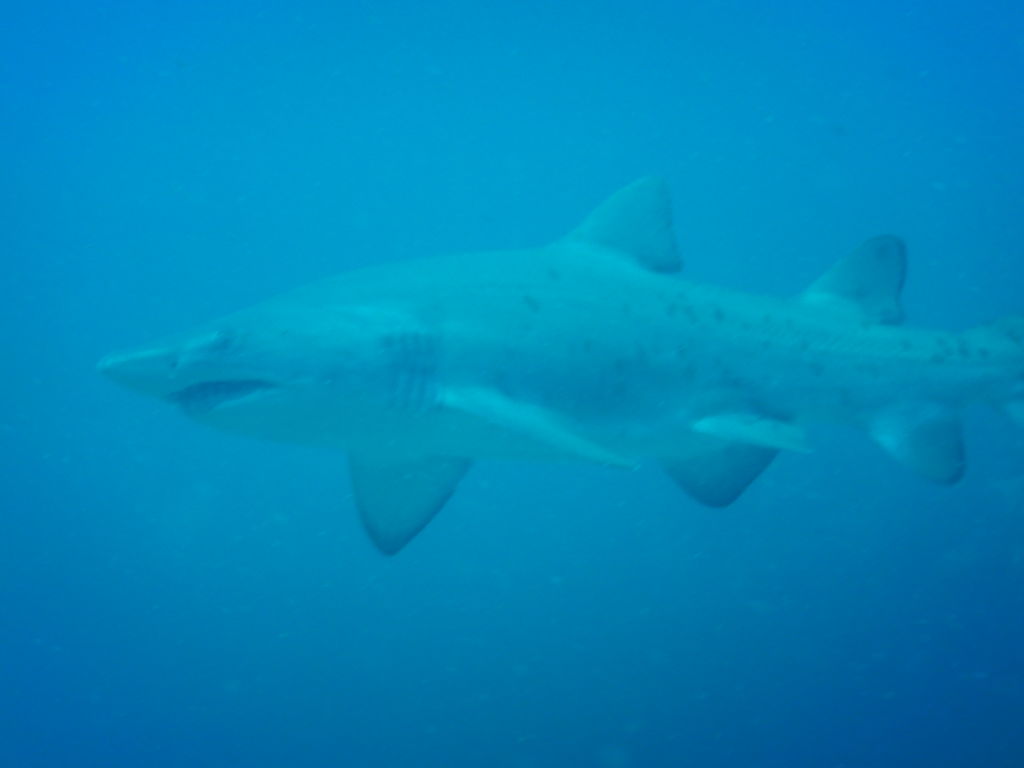 589cab8d-0e6b-4e46-8132-44defea51693