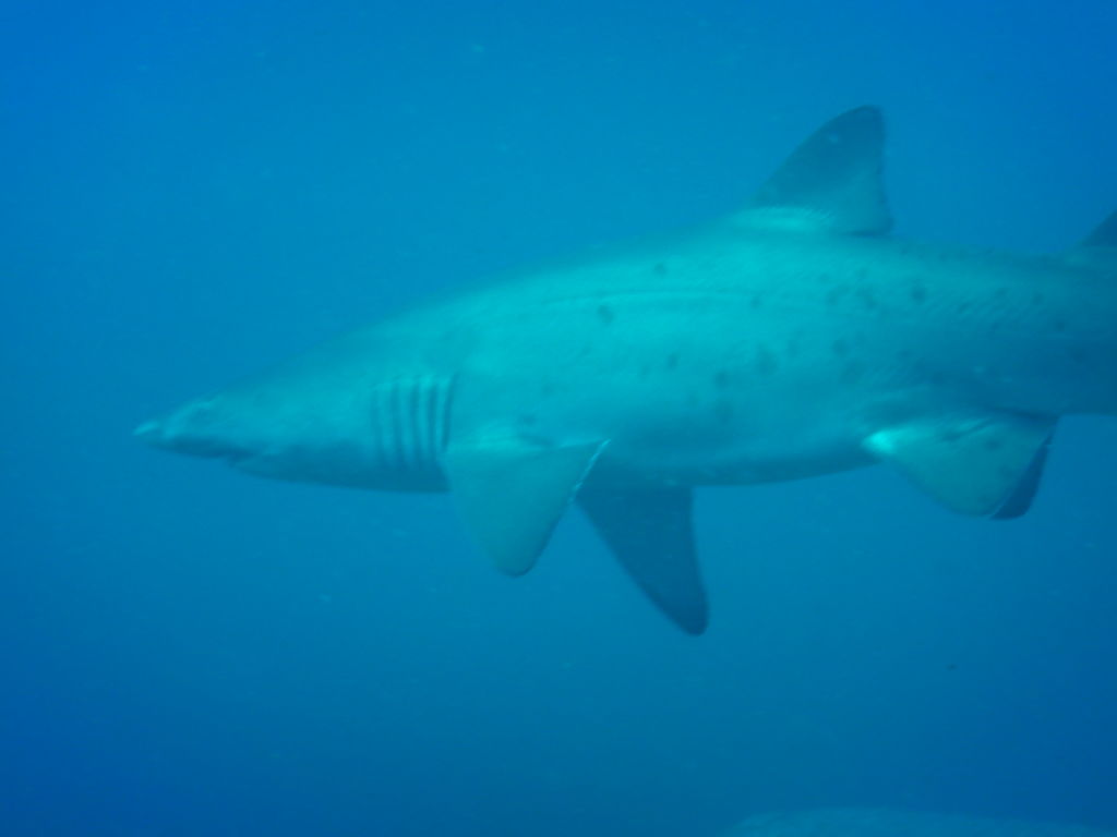 589cab8d-0e6b-4e46-8132-44defea51693