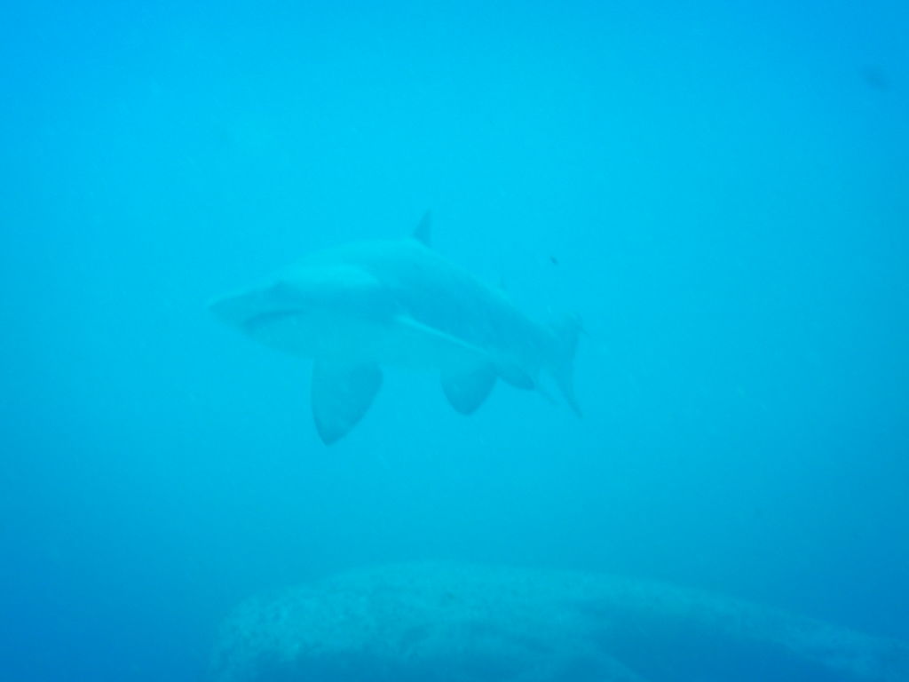 589cab8d-0e6b-4e46-8132-44defea51693