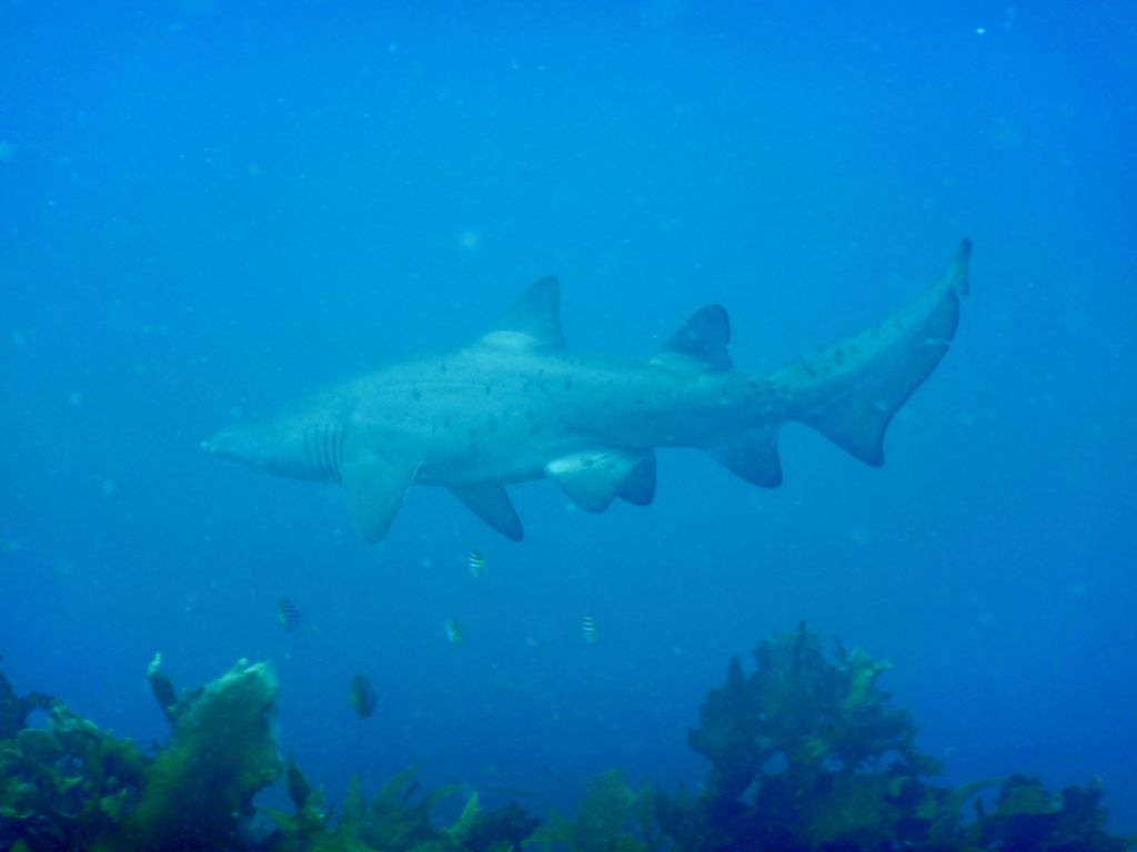 589cab8d-0e6b-4e46-8132-44defea51693