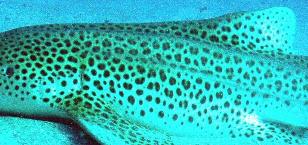 e8ad82ba-ab2a-480f-908e-c777d6031714