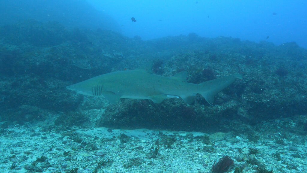 53e24827-0aed-4ff8-8c56-a2834320a541