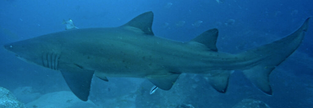 7baf7cec-8b26-4e3a-b7a4-b5b0bc28ddad