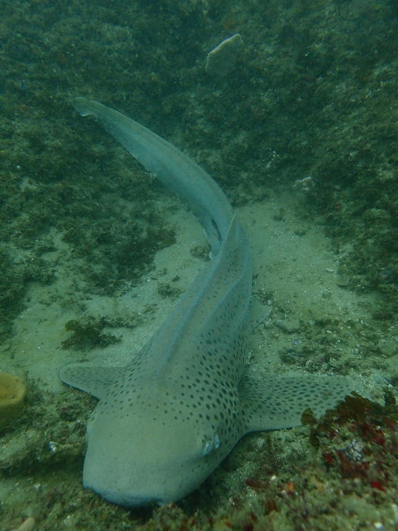 8f7a1c0e-e262-4b33-a769-5a4aa5b4c066