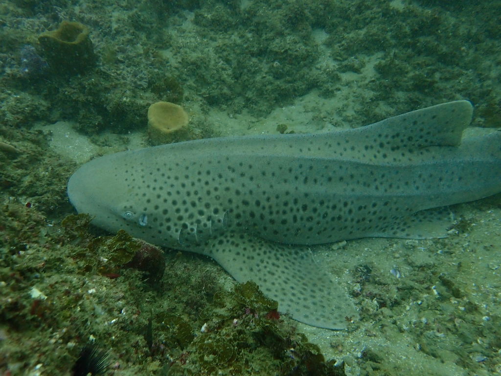 8f7a1c0e-e262-4b33-a769-5a4aa5b4c066