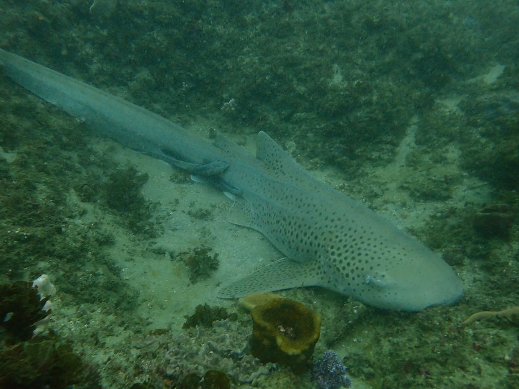 8f7a1c0e-e262-4b33-a769-5a4aa5b4c066