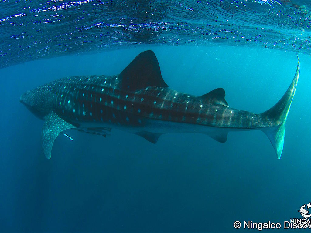 21aedc2a-5c87-400c-9bf3-6caa057ee723