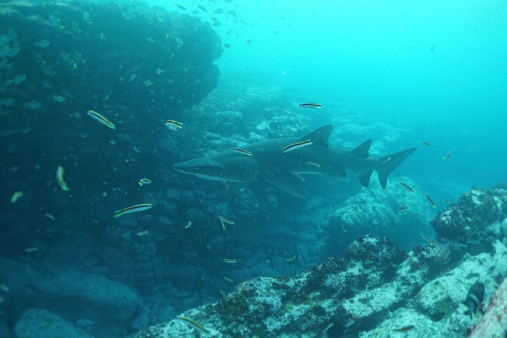 cbfb9e99-ba1a-4b04-b911-cf31d66b263b