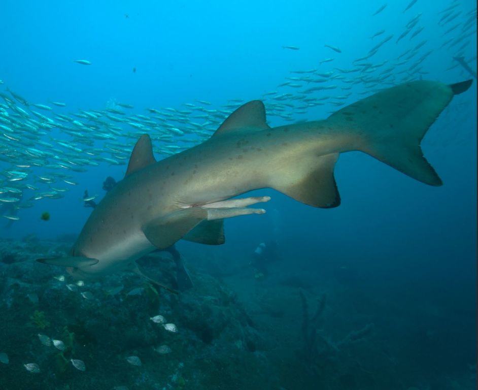 548f8ab6-4860-4f81-9125-27c25baed67f