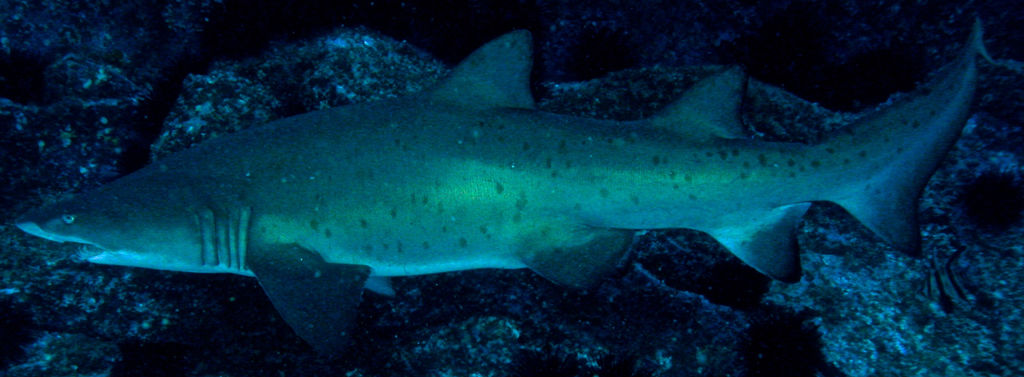 79ad4765-0b94-4b83-9ed7-7e27f052cb6c