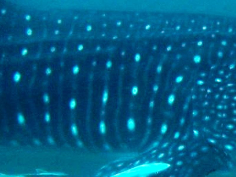 f9131dfb-d0d9-4280-8ee6-eac69a14022a