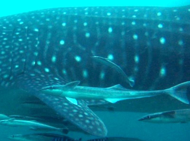 f9131dfb-d0d9-4280-8ee6-eac69a14022a