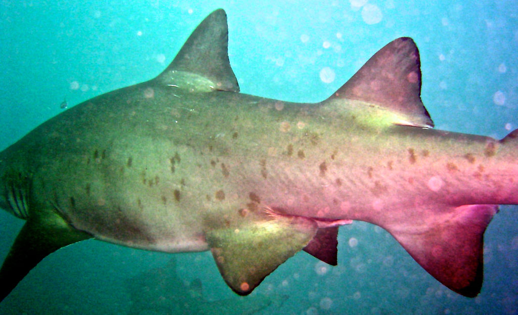 2f4bdc93-13ef-4bec-b27a-8b4236c42970