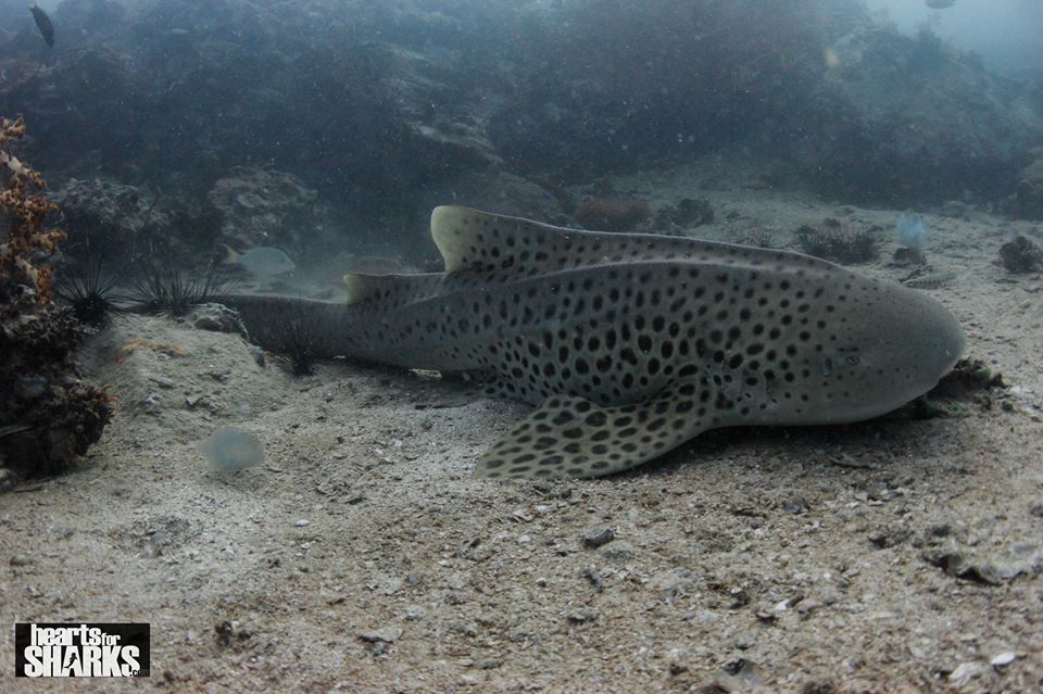 24d3f616-672c-4a9b-a37f-f38ecbf1ded2