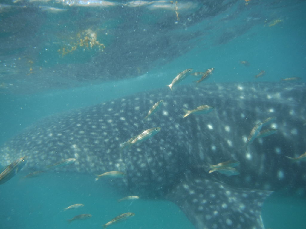 fe0542e4-88d0-43d1-b6cc-e02082ac3bc9