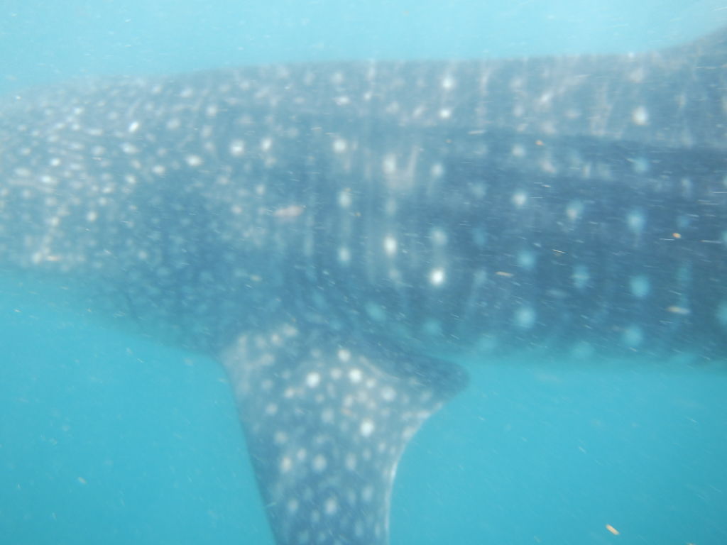 fe0542e4-88d0-43d1-b6cc-e02082ac3bc9