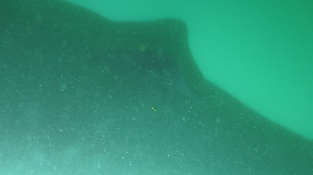 91ce1fb9-e430-49fa-b486-a79a43e9d264