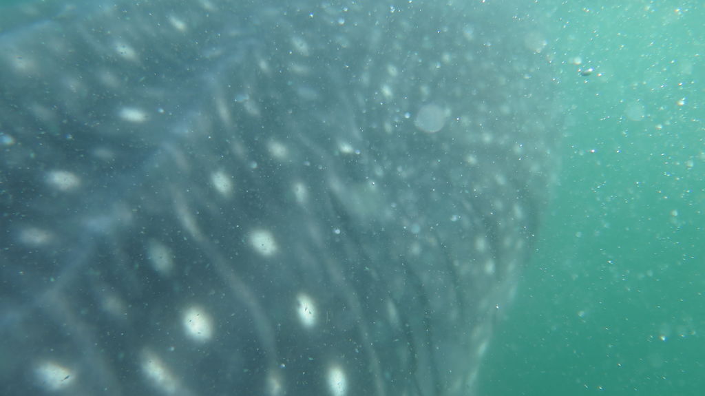 91ce1fb9-e430-49fa-b486-a79a43e9d264