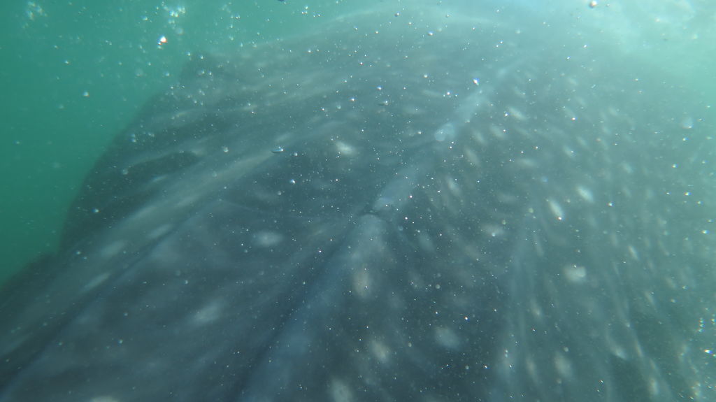 91ce1fb9-e430-49fa-b486-a79a43e9d264