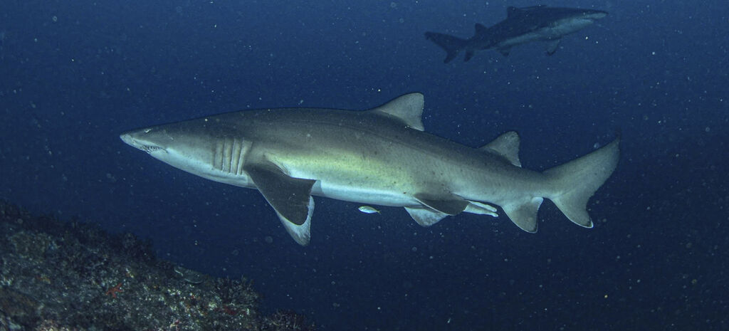 eed73539-a6b5-4dec-823e-490c7deaa3e4