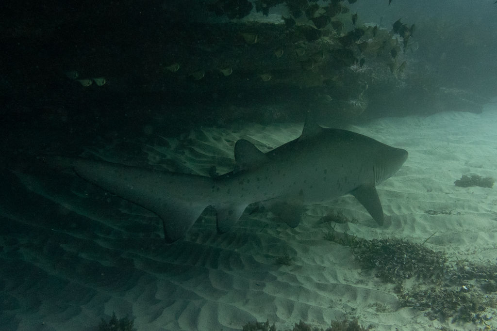 9b7f185a-b599-4a2a-8d77-2e62ed4d6b6c