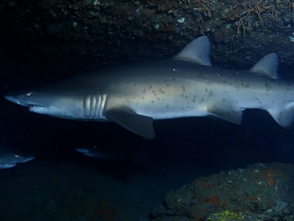 00f35fac-858f-4621-9f60-14c90b62ec8e