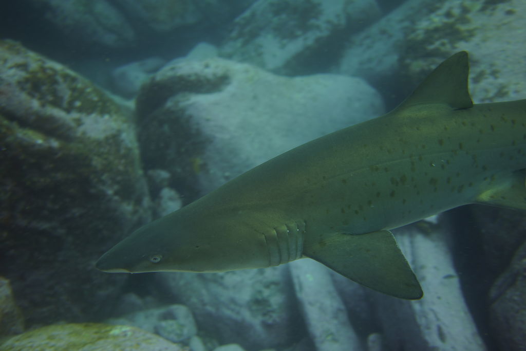 a296121c-f0a5-45aa-ab8d-c8d3dc17bf47