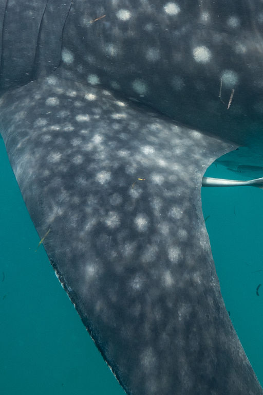 0712e104-be9b-4251-91db-3647ae4978ff