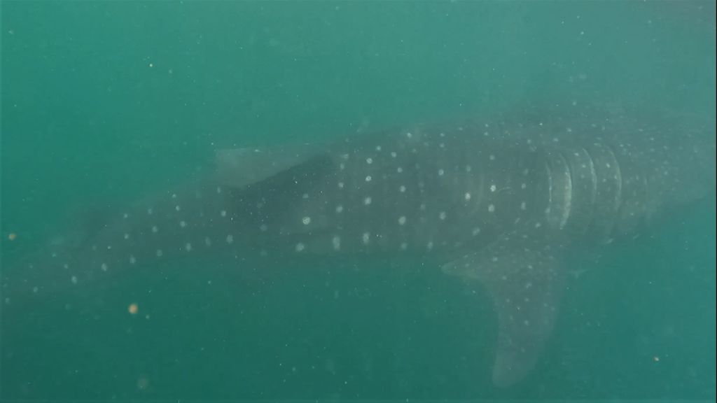 3e522a6a-9238-4db7-b594-1b83504c2450